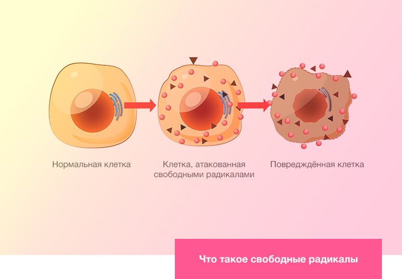 Что такое свободные радикалы