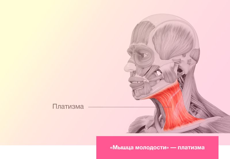 Мышца молодости - платизма